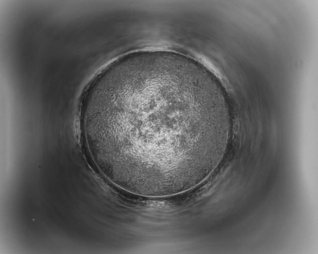 X0000093621456200710221537