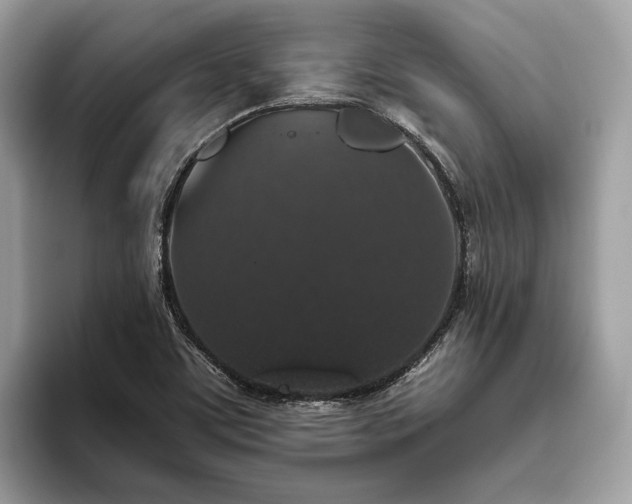 X0000093621459200710221537