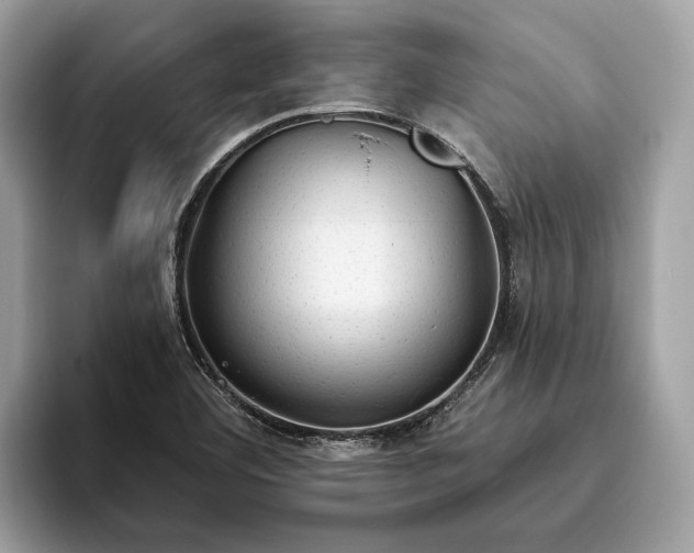 X0000093621460200710221537