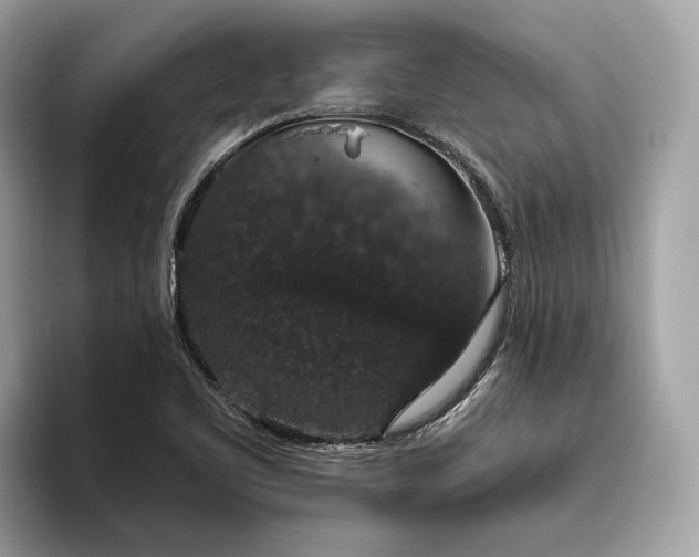 X0000093621461200710221537