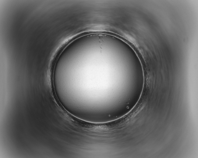 X0000093621464200710221537