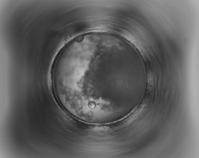 X0000093621466200710221537