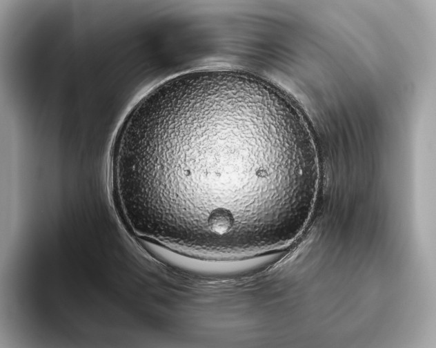 X0000093621467200710221537