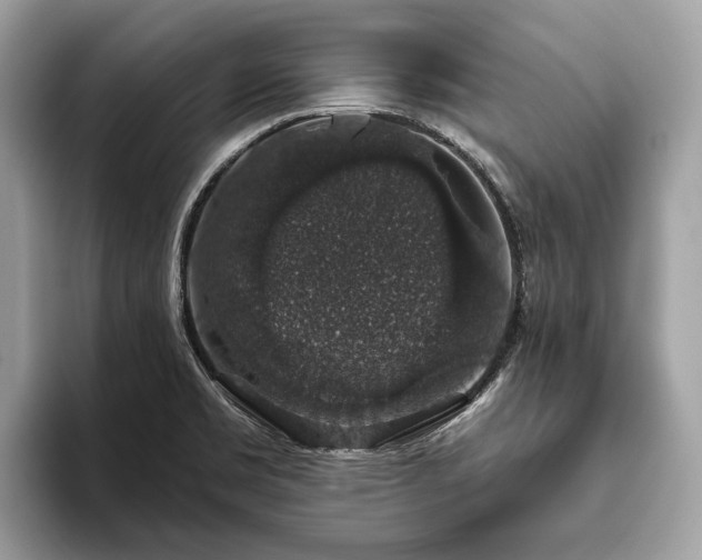 X0000093621469200710221537