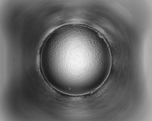 X0000093621472200710221537