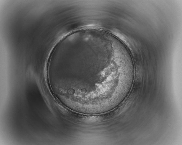 X0000093621474200710221537