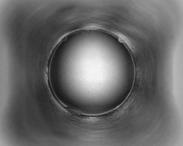 X0000093621476200710221537