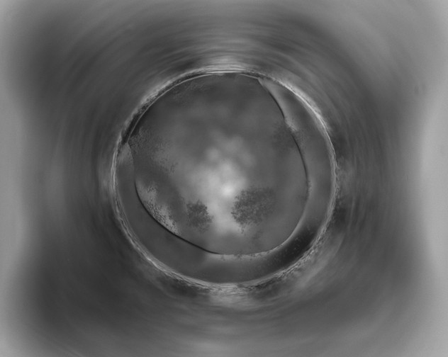 X0000093621477200710221537
