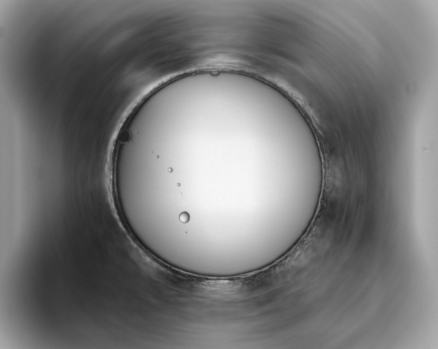 X0000093621478200710221537