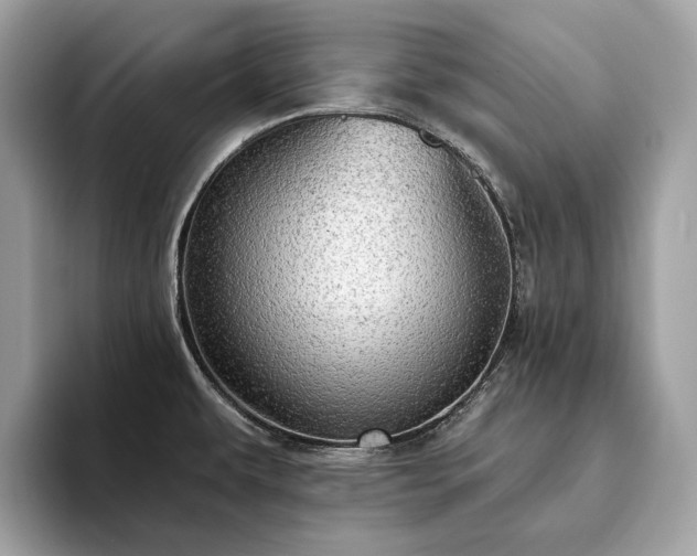 X0000093621479200710221537