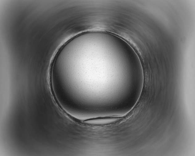 X0000093621480200710221537