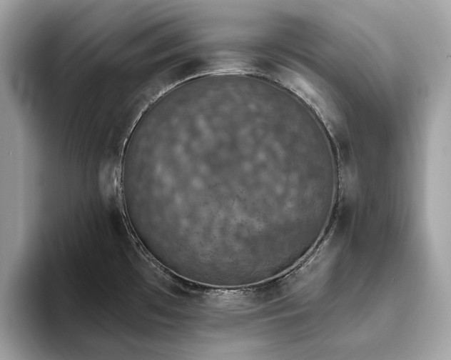 X0000093621481200710221537
