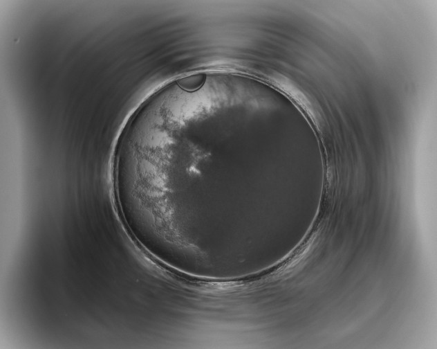 X0000093621482200710221537