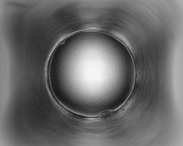 X0000093621483200710221537