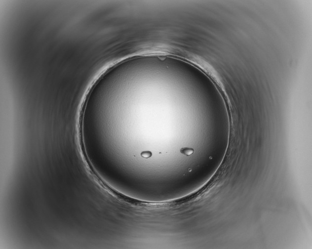 X0000093621488200710221537