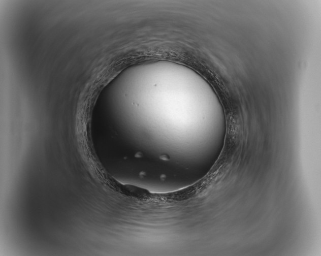 X0000093621489200710221536