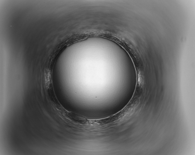 X0000093621492200710221536