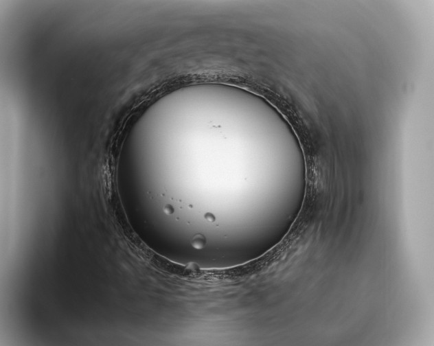 X0000093621493200710221536