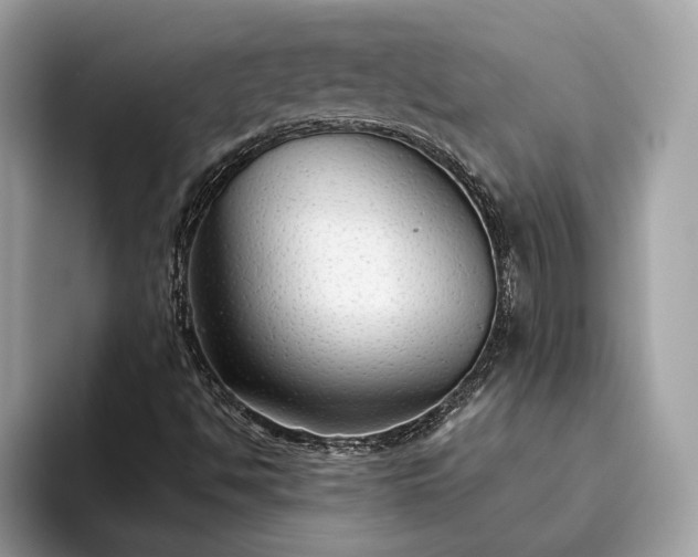 X0000093621494200710221536