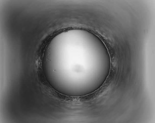 X0000093621495200710221536