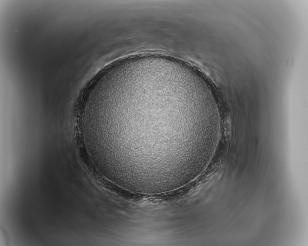 X0000093621496200710221536