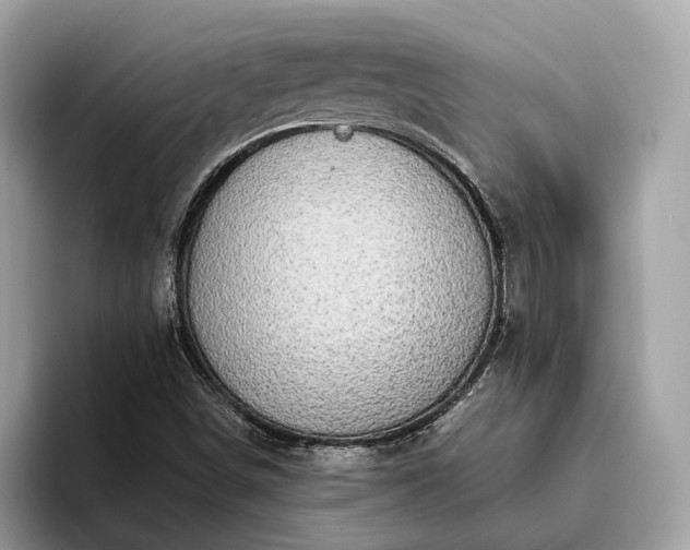 X0000093621498200710221536
