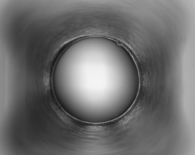 X0000093621499200710221536
