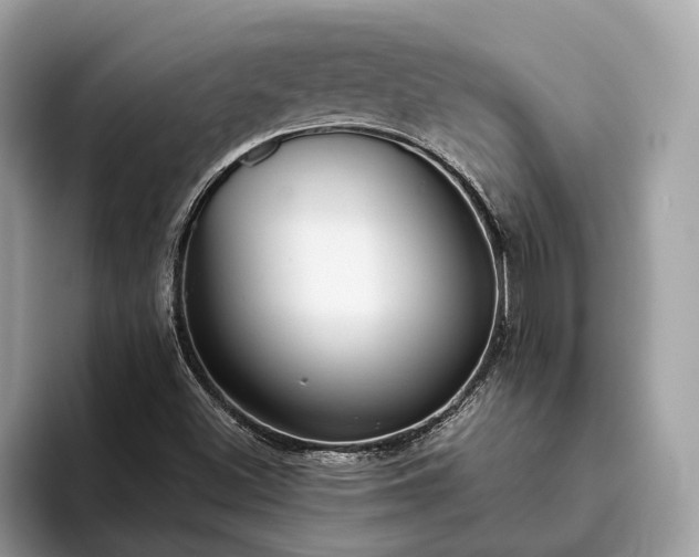 X0000093621500200710221536