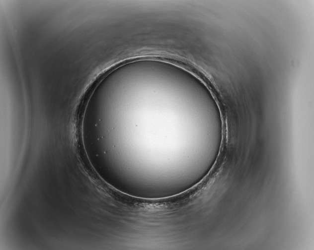 X0000093621501200710221536