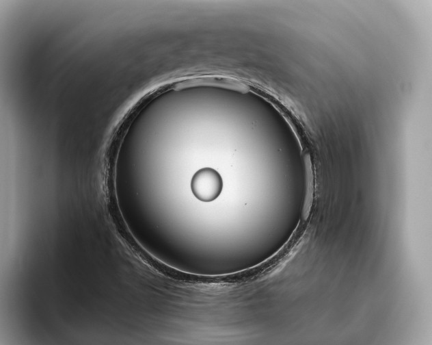 X0000093621502200710221536