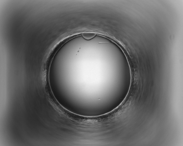 X0000093621503200710221536