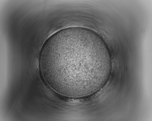 X0000093621505200710221536