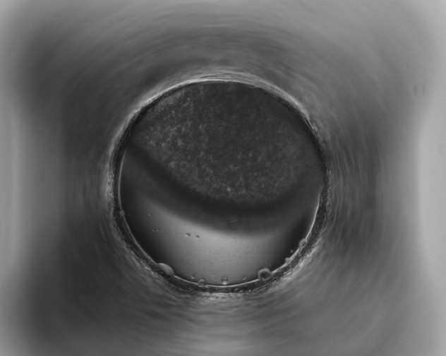 X0000093621506200710221536