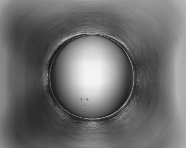 X0000093621507200710221536