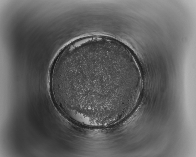 X0000093621508200710221536