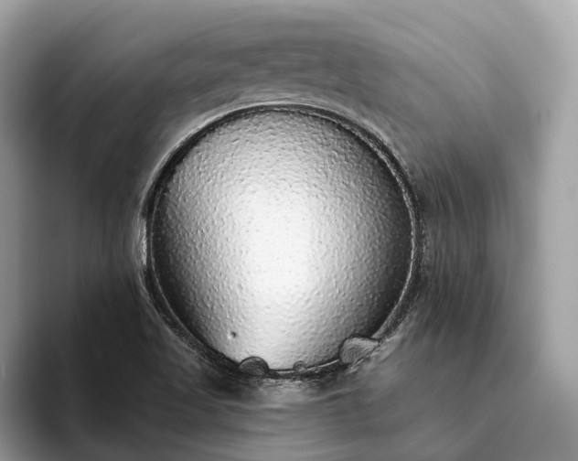 X0000093621509200710221536