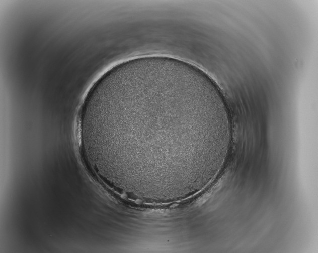 X0000093621510200710221537
