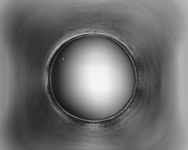 X0000093621511200710221537