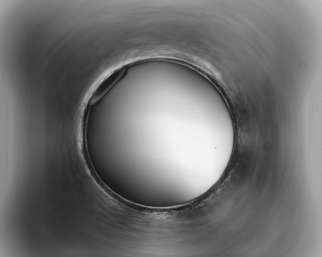 X0000093621512200710221537