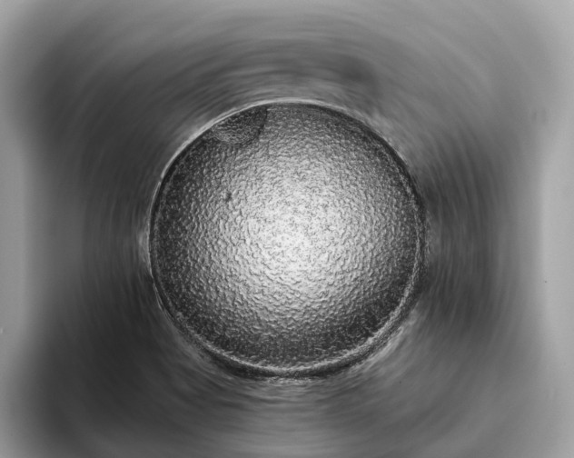 X0000093621513200710221537