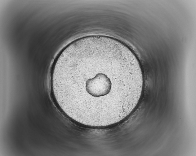 X0000093621514200710221537