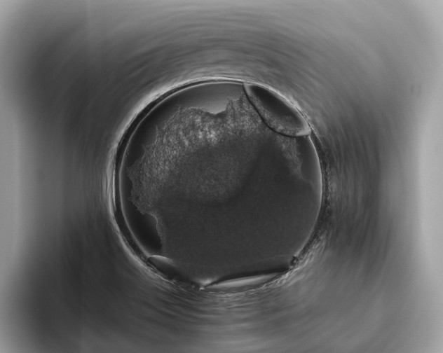 X0000093621515200710221537