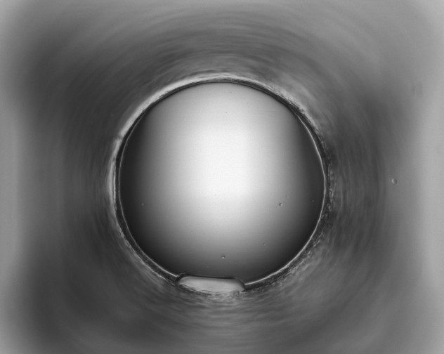 X0000093621516200710221537