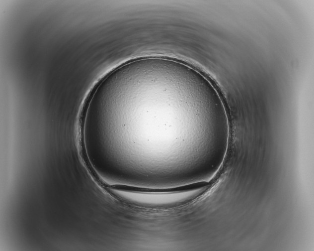 X0000093621517200710221537