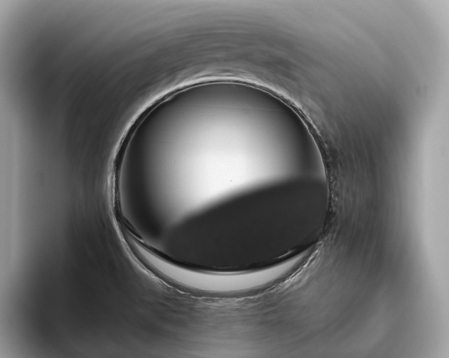 X0000093621519200710221537