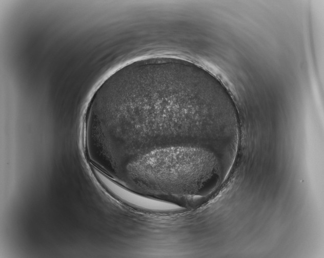 X0000093621520200710221537
