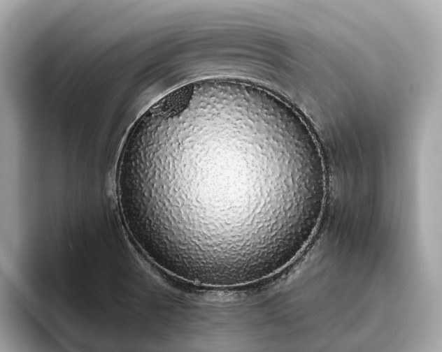 X0000093621521200710221537