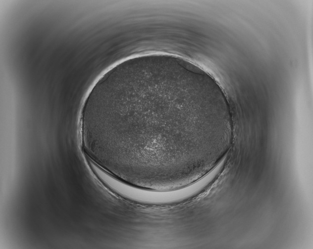 X0000093621524200710221537