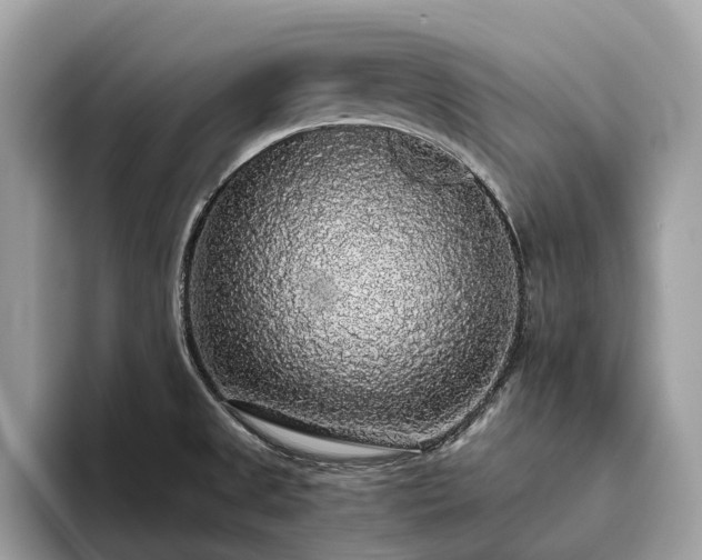 X0000093621525200710221537