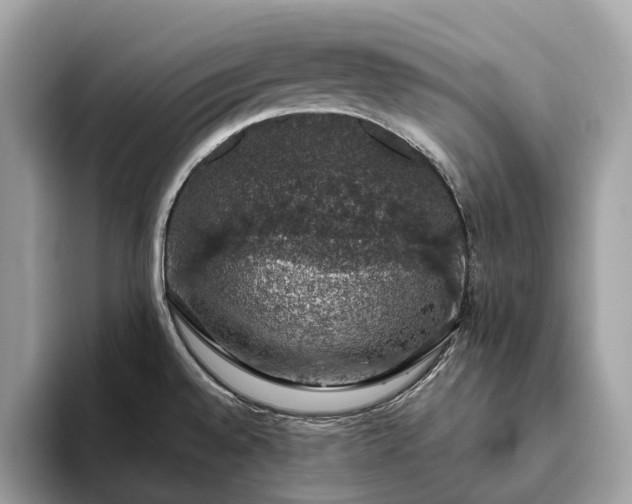 X0000093621528200710221537